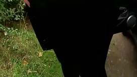 Cảm giác hơi trẻ, tó ...