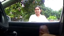 Giả nhai mũ cho một  ...