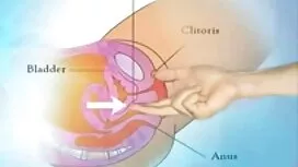 Mẹ biển clip sex bo  ...