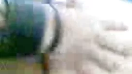 Da phimsex nhat ban  ...